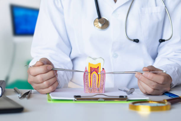 Best Emergency Root Canal Treatment in Bladenboro, NC